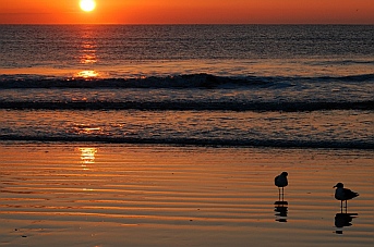 Jacksonville Beach FL