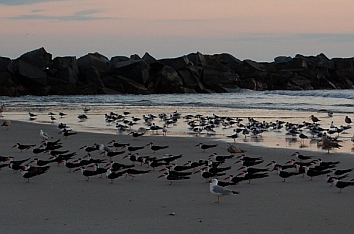 Jacksonville Beach Florida
