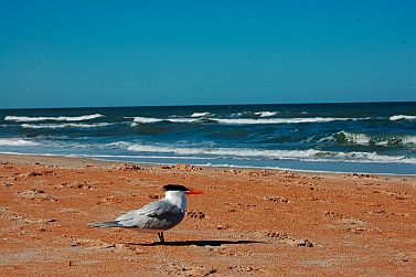 Daytona Beach Florida