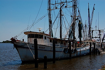 Forgotten Coast Apalachicola FL oyster boats