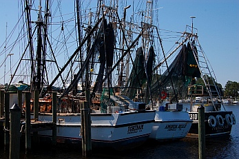 Forgotten Coast Apalachicola FL oyster boats