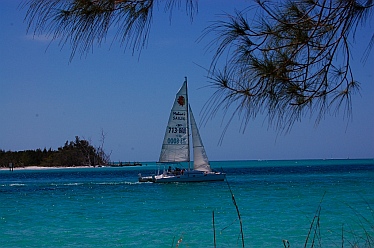 Sailing in Sarasota Florida